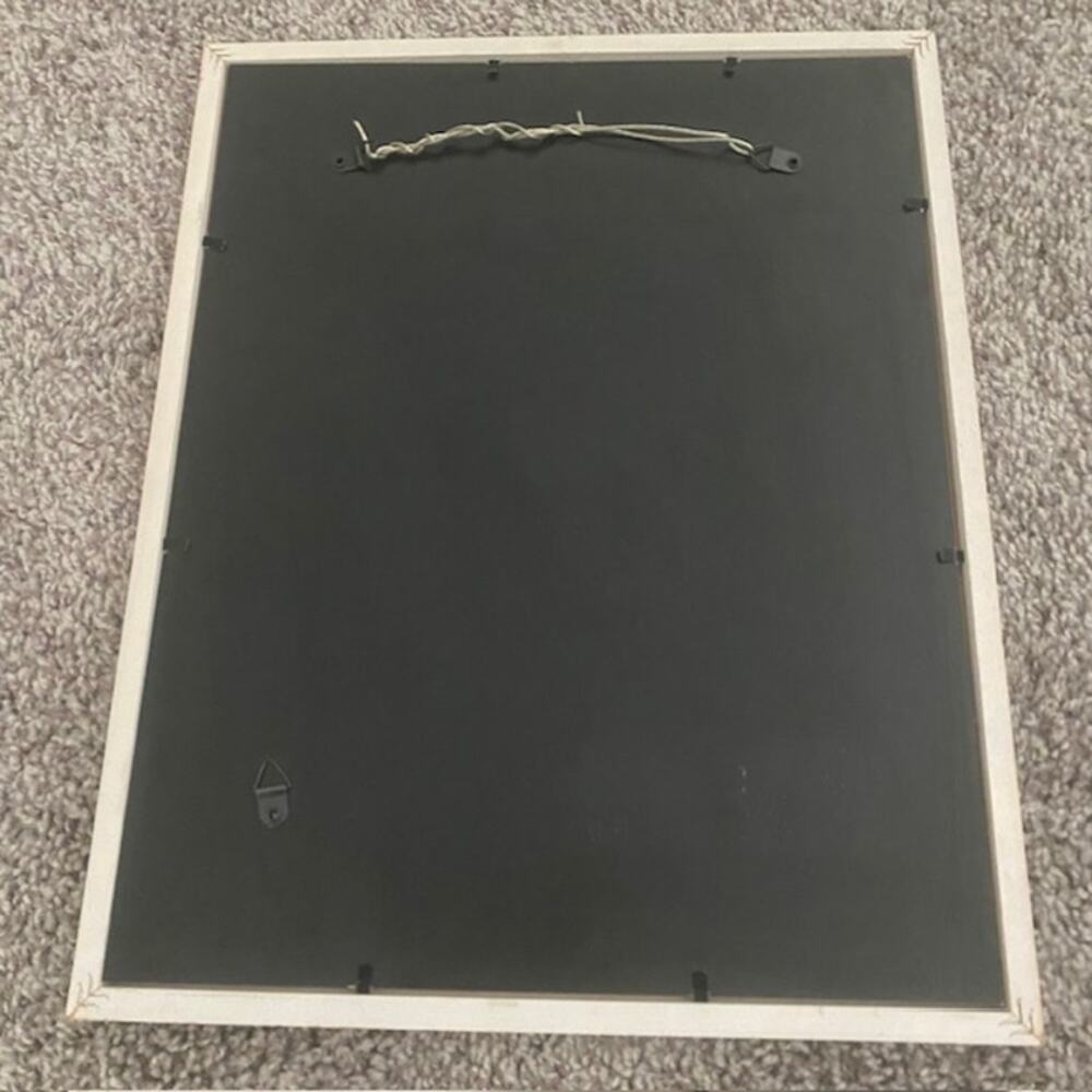 Original Art Philodendron "Little Mama" April‎ 2016 Pencil Drawing Framed - Picture 9 of 10